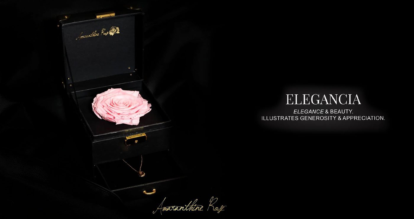 Preserved Rose Delivery Gift with Gold Necklace