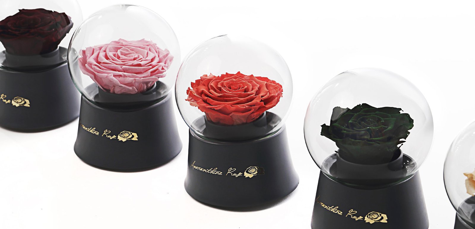 Amaranthine Rose Globe Glass Shop Online