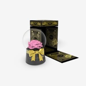 MUSIC GLASS GLOBE PINK PRESERVED ROSE WITH LEAFS