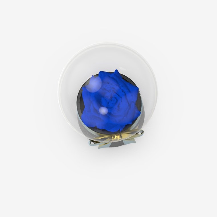 rose-globe-blue.245