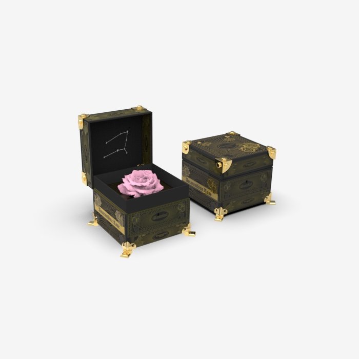 Horoscope Preserved Rose Box - Gemini