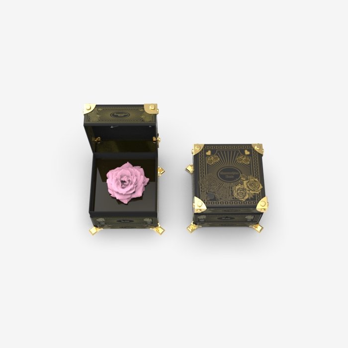 Horoscope Preserved Rose Box - Leo