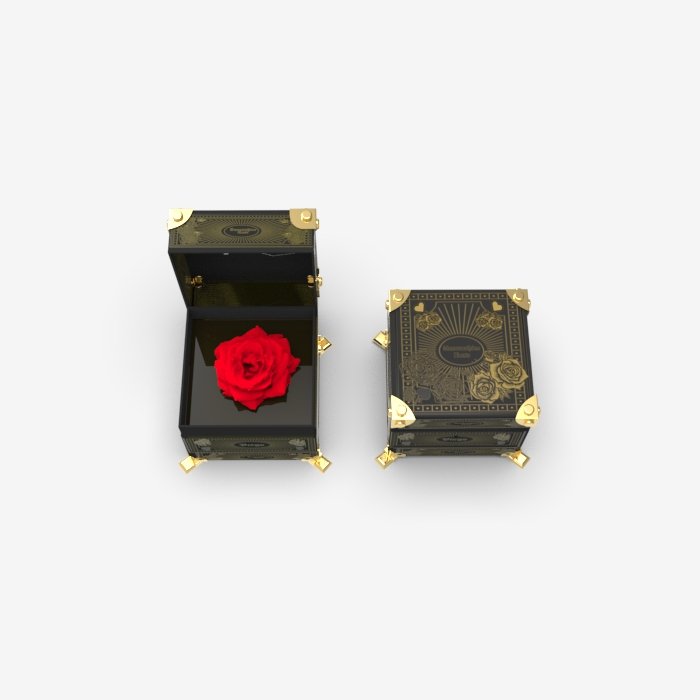 Horoscope Preserved Rose Box - Virgo