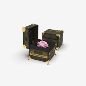 Horoscope Preserved Rose Box – Pisces