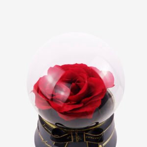 Music Glass Globe Red Preserved Rose Classic